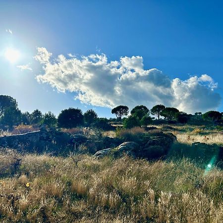 Casa Rural, “El Andador” El Hoyo de Pinares Bagian luar foto