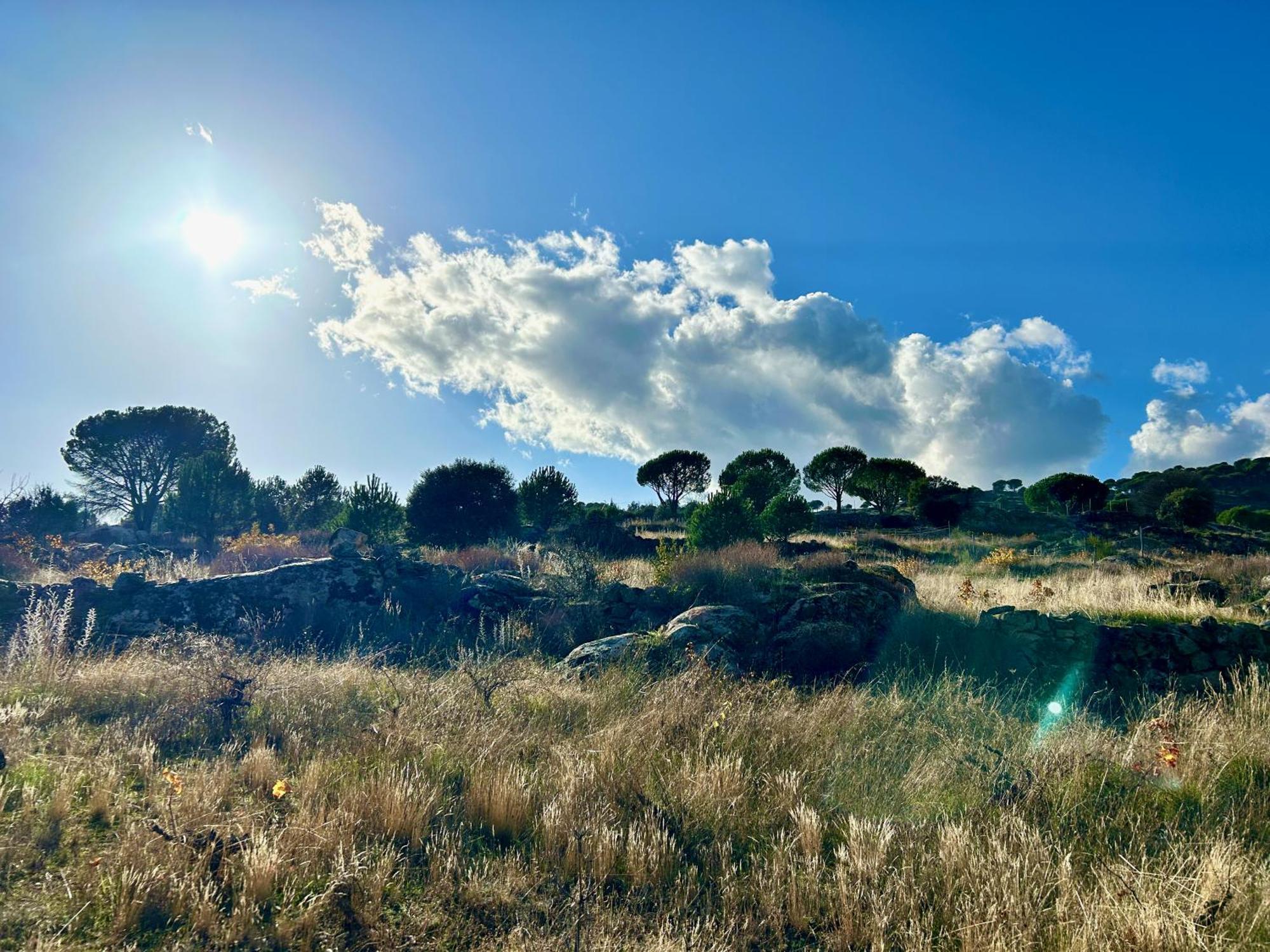 Casa Rural, “El Andador” El Hoyo de Pinares Bagian luar foto